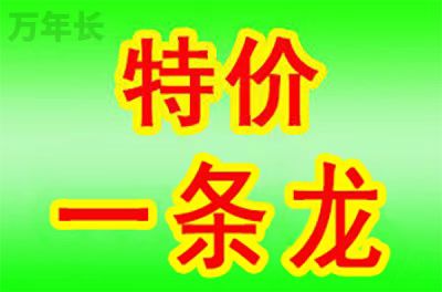 合肥安徽省合肥市蜀山区周边墓地价格政策